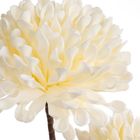 Eurofirany, kwiat flore, 13-63 cm, kremowy