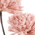 Eurofirany, kwiat flore, 13-63 cm, pudrowy