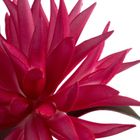 Eurofirany, kwiat flore, 15-55 cm, ciemnoróżowy