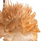 Eurofirany, kwiat flore, 15-64 cm, jasnobrązowy