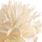 Eurofirany, kwiat flore, 15-64 cm, kremowy