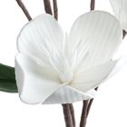 Eurofirany, kwiat flore, 15-70 cm, biały