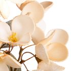 Eurofirany, kwiat flore, 17-70 cm, jasnobeżowy