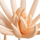 Eurofirany, kwiat flore, 20-70 cm, jasnopomarańczowy