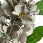 Eurofirany, kwiat flore, 25-50 cm, popielaty