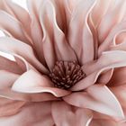 Eurofirany, kwiat flore, 25-60 cm, biały