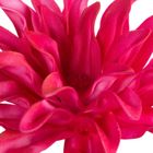 Eurofirany, kwiat flore, 25-60 cm, ciemnoróżowy