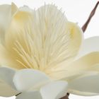 Eurofirany, kwiat flore, 65 cm, biały