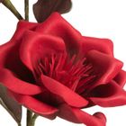 Eurofirany, kwiat flore, 68 cm, czerwony