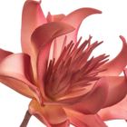 Eurofirany, kwiat flore, 71 cm, ciemnoróżowy