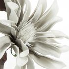 Eurofirany, kwiat Flore, 73 cm, srebrny