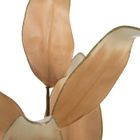 Eurofirany, kwiat Flore, 74 cm, jasnobrązowy