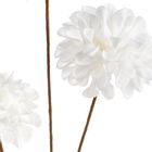 Eurofirany, kwiat flore, 8-80 cm, biały