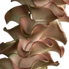 Eurofirany, kwiat flore, 90 cm, zielony