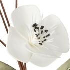 Eurofirany, kwiat Flore, biały