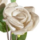 Eurofirany, kwiat flore, o 10-50 cm, ciemnobeżowy