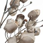 Eurofirany, kwiat flore, o 2-75 cm, ciemnobeżowy