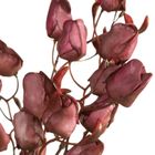 Eurofirany, kwiat flore, o 2-75 cm, ciemnofioletowy