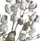 Eurofirany, kwiat flore, o 2-75 cm, popielaty