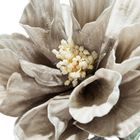 Eurofirany, kwiat flore, o 20-70 cm, ciemnobeżowy