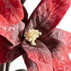 Eurofirany, kwiat flore, o 20-70 cm, czerwony