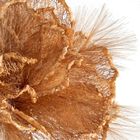 Eurofirany, kwiat flore, o 20-80 cm, beżowy