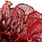 Eurofirany, kwiat flore, o 20-85 cm, czerwony