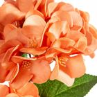 Eurofirany, kwiat flore, o 25-50 cm, jasnobrązowy