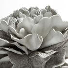 Eurofirany, kwiat flore, o 25-75 cm, popielaty