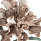 Eurofirany, kwiat flore, o 30-75 cm, ciemnobeżowy