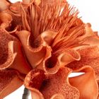 Eurofirany, kwiat flore, o 30-75 cm, jasnobrązowy