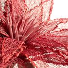 Eurofirany, kwiat flore, o 35-70 cm, czerwony