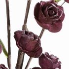 Eurofirany, kwiat flore, o 4-90 cm, ciemnofioletowy