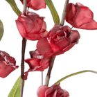 Eurofirany, kwiat flore, o 4-90 cm, czerwony