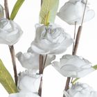 Eurofirany, kwiat flore, o 4-90 cm, popielaty