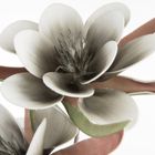 Eurofirany, kwiat Flore, popielaty