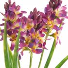 Eurofirany, kwiat Natu 32 cm, bordowy