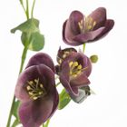 Eurofirany, kwiat natu, 40 cm, fioletowy