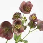 Eurofirany, kwiat natu, 40 cm, jasnoróżowy