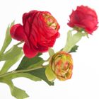 Eurofirany, kwiat Natu, 44 cm, czerwony