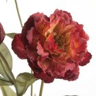 Eurofirany, kwiat Natu, 52 cm, bordowy