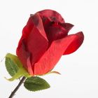 Eurofirany, kwiat Natu, 53 cm, czerwony