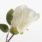 Eurofirany, kwiat Natu, 53 cm, kremowy