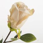 Eurofirany, kwiat Natu, 53 cm, Naturalny