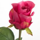 Eurofirany, kwiat Natu, 55 cm, amarantowy