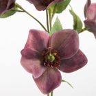 Eurofirany, kwiat Natu, 57 cm, fioletowy