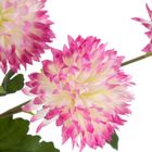 Eurofirany, kwiat Natu, 63 cm, amarantowy