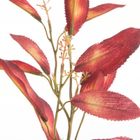 Eurofirany, kwiat Natu, 69 cm, bordowy