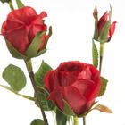 Eurofirany, kwiat Natu, 75 cm, czerwony