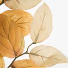 Eurofirany, kwiat Natu, 76 cm, żółty